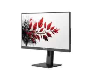 Buy Russian monitor RDW2701C_F03V3100V2A1: bright and detailed screen.