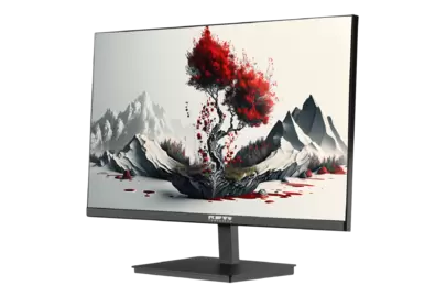 RDW 2401K 2K: Russian-made monitor 23.8 inches.